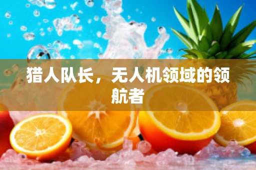 猎人队长，无人机领域的领航者