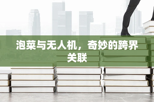 泡菜与无人机，奇妙的跨界关联