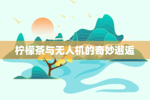 柠檬茶与无人机的奇妙邂逅