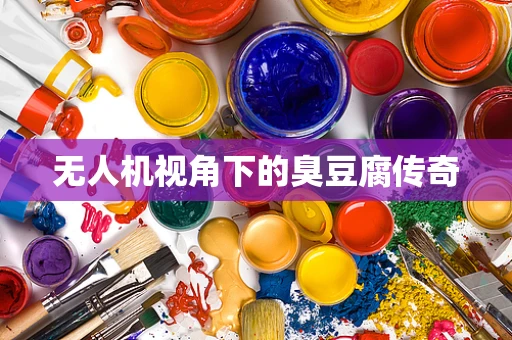 无人机视角下的臭豆腐传奇