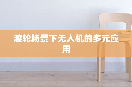 渡轮场景下无人机的多元应用