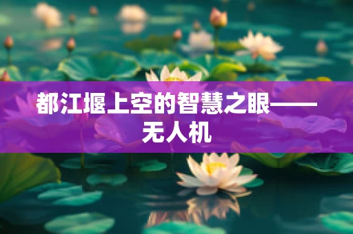 都江堰上空的智慧之眼——无人机