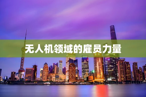 无人机领域的雇员力量