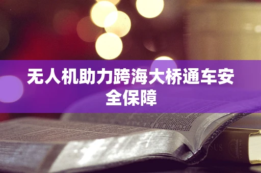 无人机助力跨海大桥通车安全保障