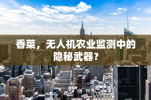香菜，无人机农业监测中的隐秘武器？