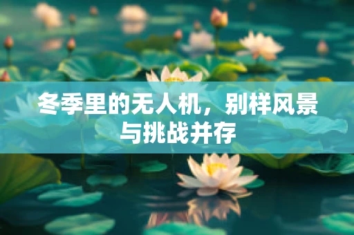 冬季里的无人机，别样风景与挑战并存