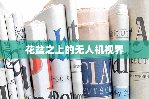 花盆之上的无人机视界