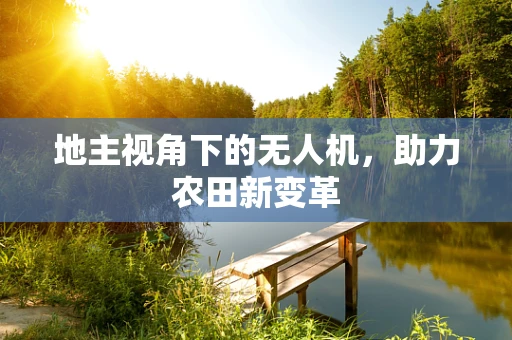 地主视角下的无人机，助力农田新变革