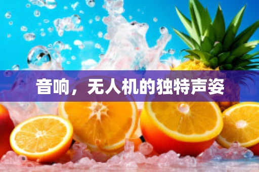 音响，无人机的独特声姿