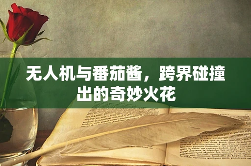 无人机与番茄酱，跨界碰撞出的奇妙火花