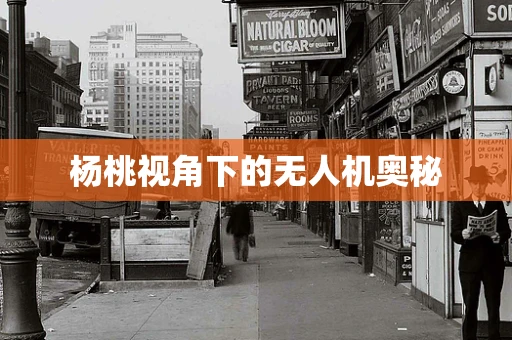 杨桃视角下的无人机奥秘