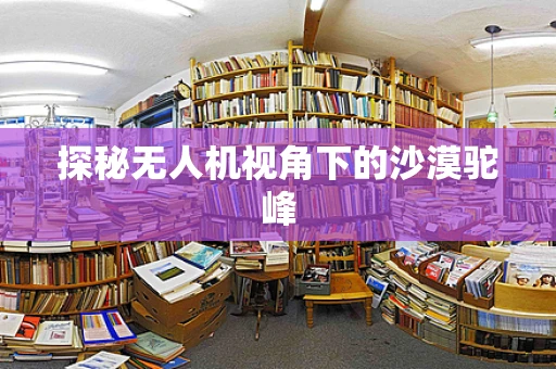 探秘无人机视角下的沙漠驼峰