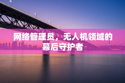 网络管理员，无人机领域的幕后守护者