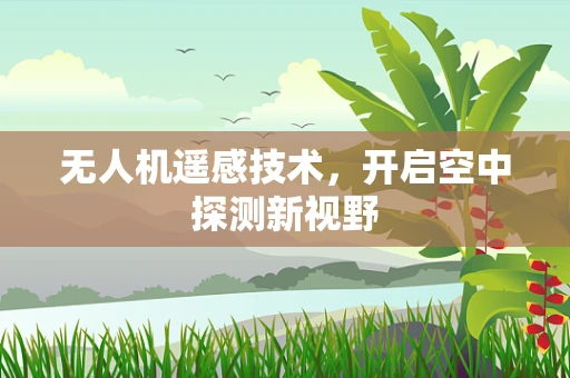 无人机遥感技术，开启空中探测新视野