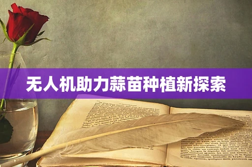 无人机助力蒜苗种植新探索