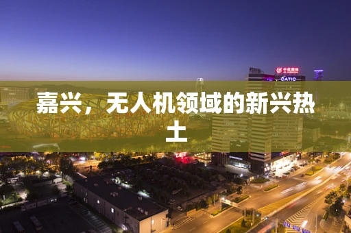 嘉兴，无人机领域的新兴热土
