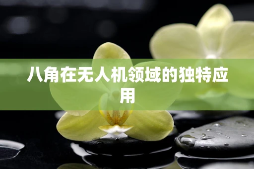 八角在无人机领域的独特应用