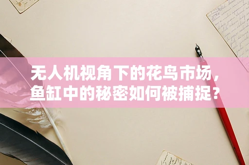 无人机视角下的花鸟市场，鱼缸中的秘密如何被捕捉？