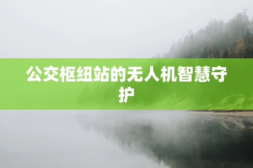 公交枢纽站的无人机智慧守护