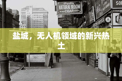 盐城，无人机领域的新兴热土