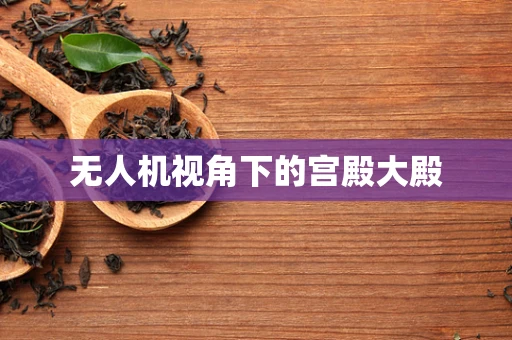 无人机视角下的宫殿大殿