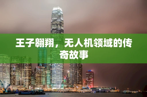 王子翱翔，无人机领域的传奇故事