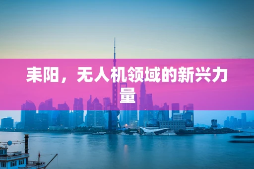 耒阳，无人机领域的新兴力量
