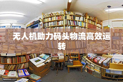 无人机助力码头物流高效运转