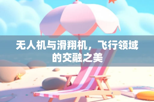 无人机与滑翔机，飞行领域的交融之美