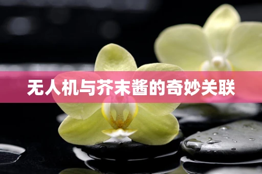 无人机与芥末酱的奇妙关联