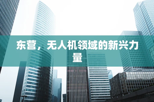 东营，无人机领域的新兴力量