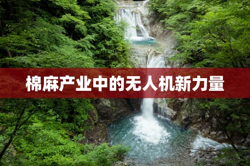 棉麻产业中的无人机新力量