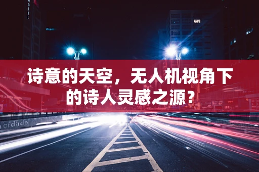 诗意的天空，无人机视角下的诗人灵感之源？