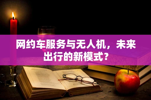 网约车服务与无人机，未来出行的新模式？