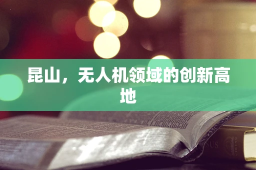 昆山，无人机领域的创新高地
