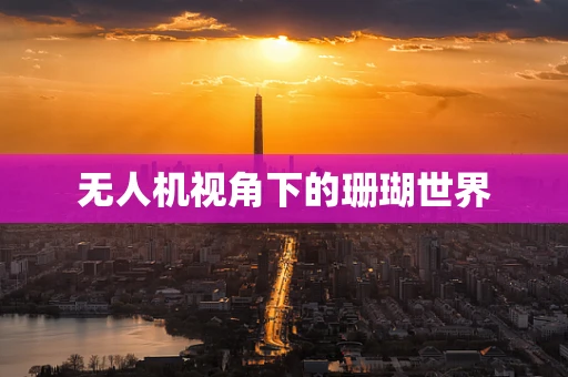 无人机视角下的珊瑚世界