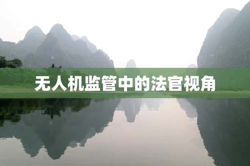 无人机监管中的法官视角