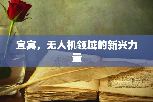 宜宾，无人机领域的新兴力量