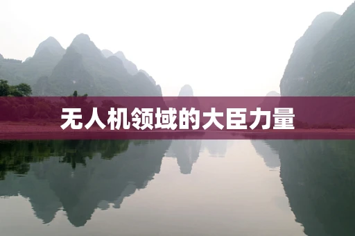 无人机领域的大臣力量
