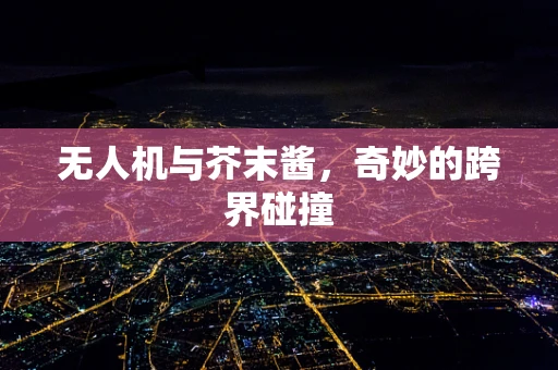 无人机与芥末酱，奇妙的跨界碰撞