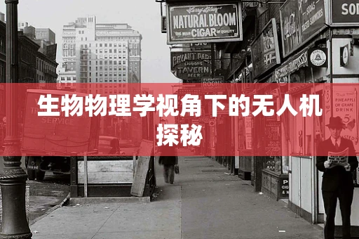 生物物理学视角下的无人机探秘