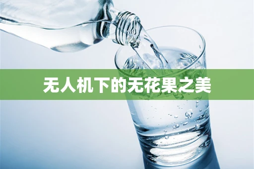 无人机下的无花果之美