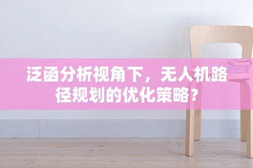 泛函分析视角下，无人机路径规划的优化策略？