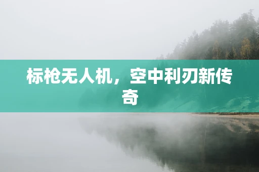 标枪无人机，空中利刃新传奇