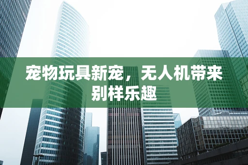 宠物玩具新宠，无人机带来别样乐趣