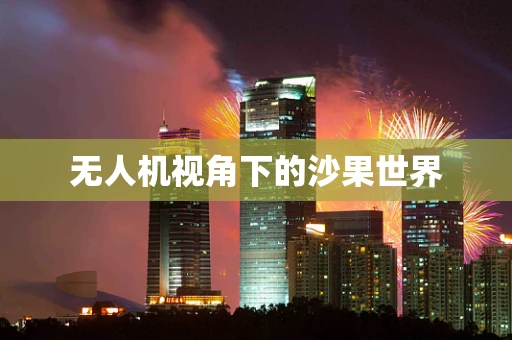 无人机视角下的沙果世界