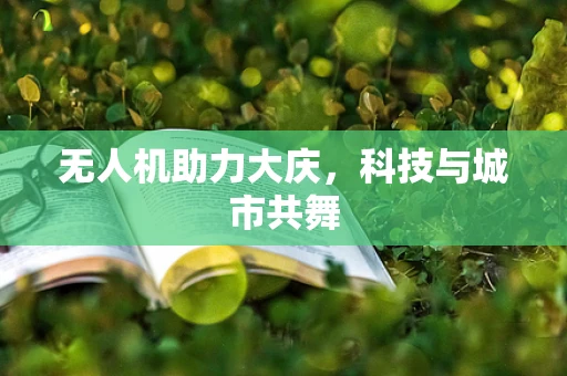 无人机助力大庆，科技与城市共舞