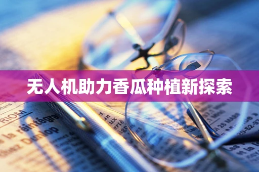 无人机助力香瓜种植新探索