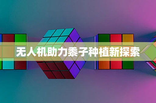 无人机助力黍子种植新探索