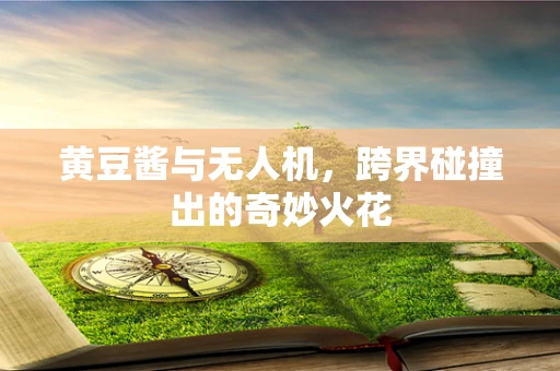 黄豆酱与无人机，跨界碰撞出的奇妙火花